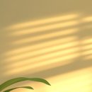 경희금강한의원 이미지