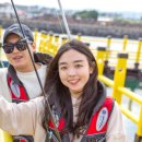 낚고락고 이미지