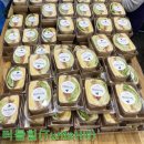터틀힐 이미지
