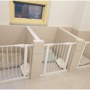 하이멍 애견미용 이미지