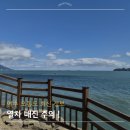 (주)동백관광 | 여수 오동도 최신정보, 동백열차 매진 주의사항과 방문 꿀팁 정리
