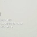 디자인요기 이미지
