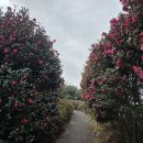 장성호관광지 매점화장실 | 제주도 동쪽 체험 관광지 제주레일바이크 후기