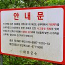 당진관광안내소 | 태안 백화산 구름다리 출렁다리 둘레길 최단 등산로 코스 절 태을암 마애삼존불입상 주차장 정보