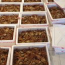 동해-단속-12 이미지