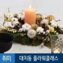 수나셀러브레이션 이미지