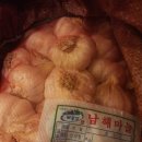 새남해농업협동조합 이미지