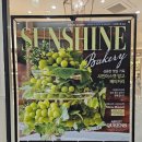 망고성인PC 이미지