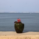 몽여해변 이미지