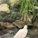 동이목장 이미지