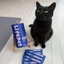 그루밍츄 | [라이프펫] 헤어볼&amp;브리드 / 고양이헤어볼 / 헤어볼영양제 / 급여후기💙