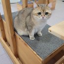 나르랑 이미지