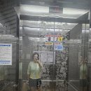 구리시립테니스장 | 중복에 다녀온 의정부 실내코트 송산테니스장 후기!!