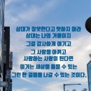 월드홍익선원 이미지