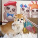 캣스토리 고양이분양 일산본점 이미지