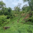 직지주유소 이미지