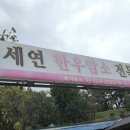 세연한우암소