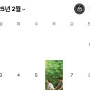 보고또보고 | 같은 영화 보고 또 보고 또 보고 또 보기 클럽 ♻️