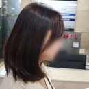 천안 아줌마펌 히피펌 태윤미용실 &amp; 내 머리 변천사