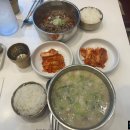 신촌설렁탕 | 서울 신촌맛집 독립문설렁탕 솔직후기 - 가성비에 반함, 혼밥 가능