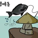신엄낚시
