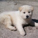 창신농장 이미지