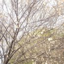 후지중테크 | 동아카메라 대구 전자관 카메라 구매 후기, 올림푸스 펜 E-P2