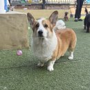 독타곤 네이버블로그