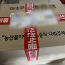 원유통 | 온라인야채 구입후기 (양파 대파 마늘) 원유통