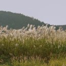 호텔 아이엠 이미지