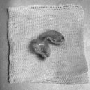 베리굿동물병원 이미지