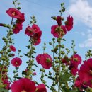 옥대3리 이미지