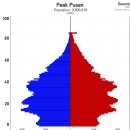 부산 인구피라미드 (1995 vs 2024) 이미지