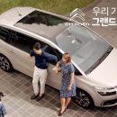 브라운피카소