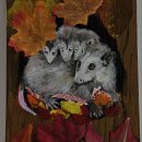 미주치과의원 | 11월 2주차 신경치료일기