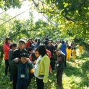 대전신평초교 이미지