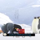 리더광고기획
