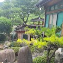 정자나무 펜션 이미지