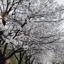 거기농장 이미지