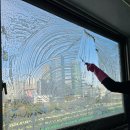 하우스리커버리 입주청소 내돈내산