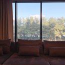 더 티(the T) 이미지