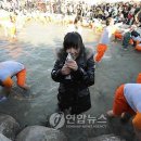 겨울축제.해맞이.스키..`겨울나라` 강원도로 이미지