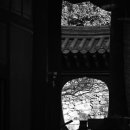 그날 오후 이미지