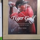 둔산타이거스크린골프존 이미지