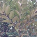 창이대로 이미지