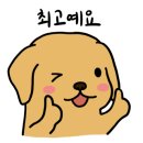 스누독 이미지