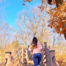 수원제일중학교 | 숙지산, 이렇게 편한 겨울 산책 코스였어? 40분 만에 힐링 끝!