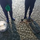 백합민박 이미지