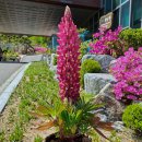 동화마을수목원 이미지