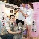 펫필드 동물병원 이미지